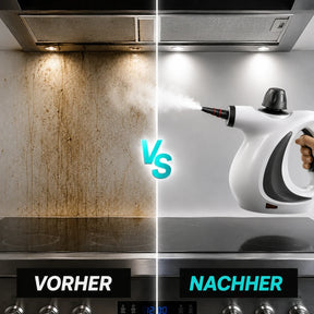 Reinhaus®️ Dampfreiniger Pro